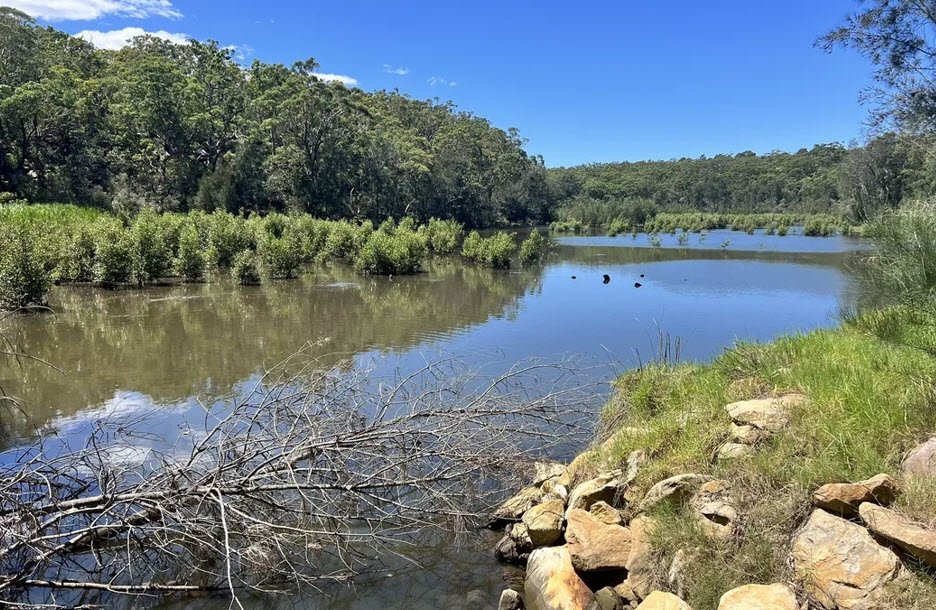 Sylvan Grove Native Garden, Picnic Point, Australia, Australia